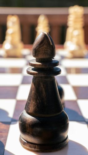 Pozycja koncowkowa krol i piony